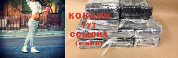 трава Коряжма