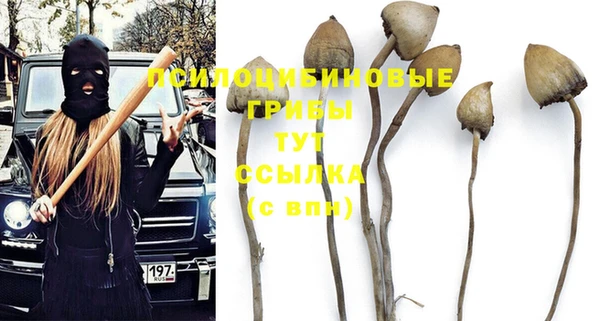 трава Коряжма