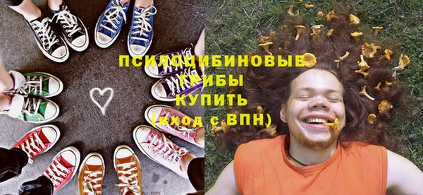 трава Коряжма
