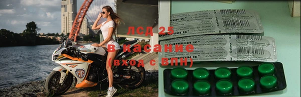 трава Коряжма
